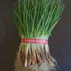 국내산 여주 명품 쪽파 흙쪽파 깐쪽파 한단 1kg 싱싱한 실파 한단 당일수작업, 1개