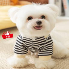 다있어유 덕덕 오리 강아지 고양이 반려동물 옷 소형견 중형견 반려견 반려묘 다양한 사이즈, 1개, 스트라이프 블랙 (Stripe Black, 블랙)