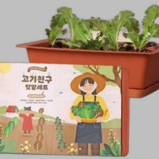 (꿈쟁이) 고기친구키우기세트(물받침대포함), 본상품