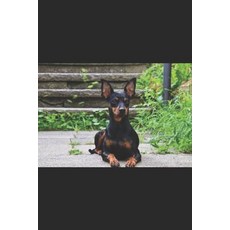 (영문도서)Complete Guide on Miniature Pinschers Paperback, Independently Published, English, 9798265932174