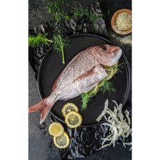 국내산 자연산 참돔 꽃돔 제수용 구이 손질생선, 참돔필렛 1팩 (200-250g), 1