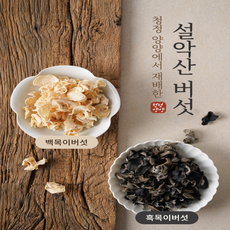국내산 무농약인증 생목이버섯 건목이버섯, 건백목이버섯(100g), 1개