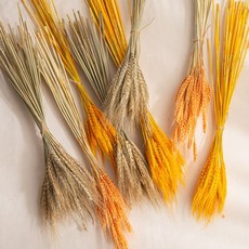 [데코봉봉] 자연 밀 한 묶음(60cm) 가을 환경구성 전통 보리 벼 쌀 이삭 곡식 만들기 재료, 내추럴, 1개