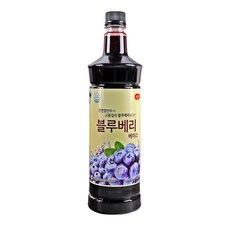 광야종합유통광야 블루베리 베이스 970ml