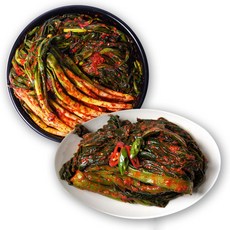 (1+1) 2가지 반찬 전라도 양념그대로 파김치 1kg + 갓김치1kg 김치세트, 2개