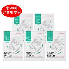 프롬더스킨 링클 리프팅 주름패치 풀페이스 케어, 5개, 6개입