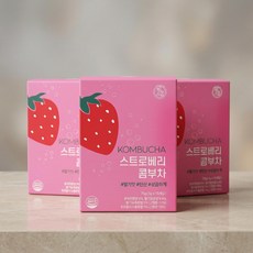 힐스랩 발효음료 상큼한맛 데일리음료 건강음료 추천템 콤부차 다이어트차 스트로베리 유기농콤부차 5g 15개입 3개