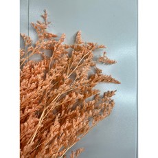 花藝夢*永生卡斯比亞 "小份5克販售" 買5送1 顏色隨機 不凋花 永生花 乾燥花材, 淺橘