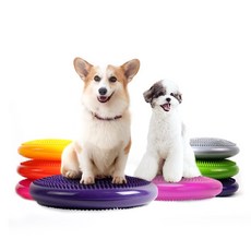 베리앤펫 반려견 슬개골탈구 예방 밸런스 볼, 유광, 퍼플, 1개