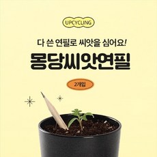 [꿈쟁이] 몽당 씨앗연필 (2개입), 바질