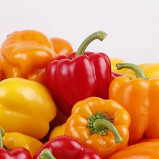 싱싱햇 국산 파프리카 노랑 빨강 주황 피망, 색깔랜덤, 1박스, 3kg