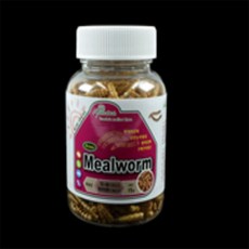 포포샵 프라임 건조 밀웜 고슴도치영양간식, 60g, 60g, 1개