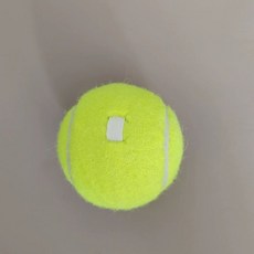 테 공 카트 카트 회수카트 (검은색) 연습 볼 250구 연습 공바구니 테 보관함