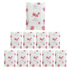 果然茶香 洛神花乾 天然無添加獨立包裝 酸甜好滋味, 80g, 10個