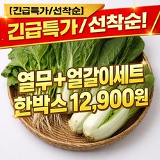 국내산 열무 얼갈이 세트 김치용 생열무 얼갈이배추 산지직송 한박스 1kg 2kg 3kg 4kg, 1박스, 열무 1kg + 얼갈이 1kg