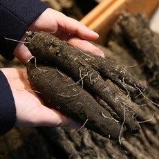 [햇님농장] 제주도 검은 흙 더덕(상) 1kg, 1개