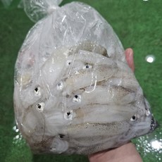 싱싱햇 국산 급냉 호래기 냉동호래기 꼴뚜기, 1세트, 1kg(100미내외)