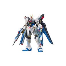 RG 기동전사 건담 SEED DESTINY ZGMF-X20A 스트라이크 프리덤 건담 1144 스케일 색으로 구분된 프라모델, 1개