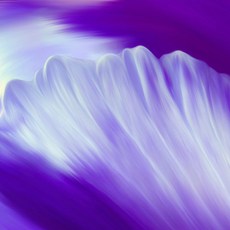 [CPL 영국] 프래그런스 오일 화이트 머스크 WHITE MUSK 500ml/1L, 500ml, 1개, 500ml