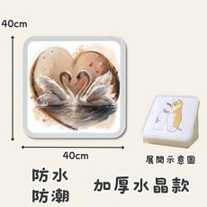 壁掛折疊收納箱 免釘安裝 防水防潮 加厚水晶款 大容量置物架 40x40cm, 加大加厚【天鵝之戀】, 天鵝之戀