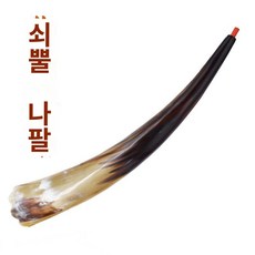 뿔나팔 나팔 관악기 공예품, 매끈소뿔호[45cm전후]