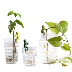 [정품] 리프렌드 수경식물 지지대 화초 몬스테라 수경재배 꽃 지지대, 1개