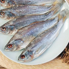 [진공포장]비늘이 제거된 반건조 민어(가이석태속) 20미(미당 100~150g), 1세트, 2500g