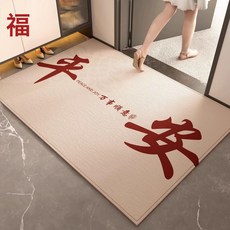 DIU 入戶門地墊新款進門門口防滑腳墊耐髒玄關地毯入戶門墊, 1個, 鴻運-06
