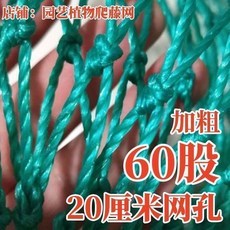 園藝植物爬藤網 瓜網 3米寬4米長, 1個, 加粗60股20釐米網孔 菱形 送繩子,1.5米寬2米長 抗風化 全新料