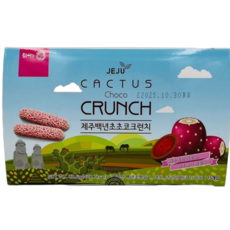 제주 백년초 초코 크런치 13개입 사무실간식 특산물 여행선물, 1개, 71.5g