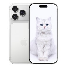 AIP 17 프로 새제품 미개봉, 512GB, 아이폰 17 Pro Silver