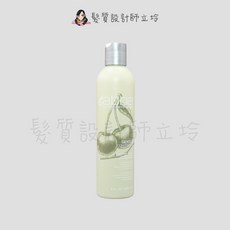 ABBA 免沖洗護髮 IH01, 1個, 蘆薈營養素236ml