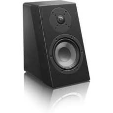 SVS 울트라 에볼루션 책장 스피커 - 쌍(블랙 오크), Black Oak Veneer