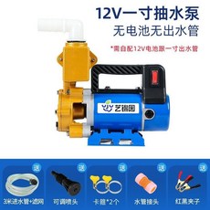 水泵 澆菜神器 農用灌溉抽水機 12V 48V 220V大功率家用澆花澆水機抽水泵, 12V一寸300W（無電池無出水管）