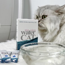 [캣츄] 워터캣 (특가할인), 60개, 3g, 가루