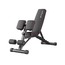 로만체어 백익스텐션 기립근 강화운동 홈트 등근육, 039T 덤벨 벤치 + 10kg 덤벨