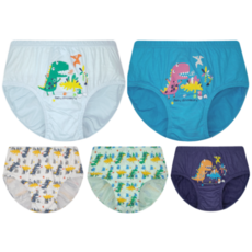 아날도바시니 남아용 딩동댕 아기공룡 삼각팬티 5종 세트