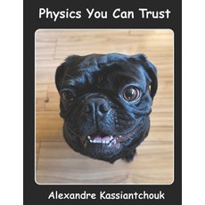 (영문도서)Physics You Can Trust: The Universe You Can't Unsee Paperback