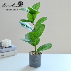 嘉義直發 仿真綠蘿葉龜背葉盆栽，仿真植物小盆景，家居客廳桌面裝飾仿真綠植擺件, 2024239-B（塑料花盆）, 1個