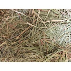 苜蓿 甜燕麥草 提摩西牧草 乾草 磨牙 兔子 龍貓 豚鼠 全齡段營養, 1個, 提摩西二割1公斤 過篩