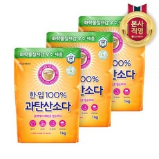 한입 과탄산소다 다목적세정제 1KG 3개