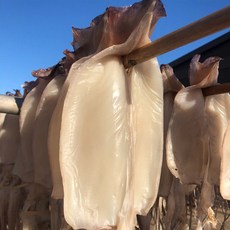 피데기 반건조 오징어 5미 170g x 4개 마른