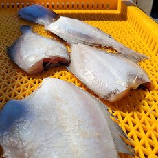 반건조 통영 가자미 자연산가자미 포항가자미 반 건조가자미 손질가자미