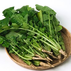 아삭한 국내산 열무 2kg 4kg, 2kg내외