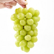 국내산 김천 고당도 샤인머스켓 4kg 6-7수, 1개, 상세페이지 참조