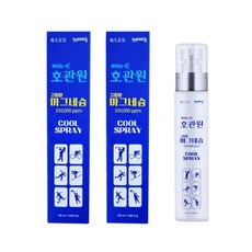 호관원 뿌리는 마그네슘 스프레이 120ml, 2개, 1개입