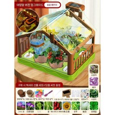 작은 화분 심기 키트, 3. 선실 심기 ((업그레이드 된 태양열 조명 버전))