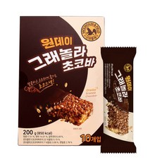 산과들에 원데이그래놀라초코바 20g 10개 세트, 4세트