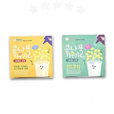 콩나물 재배 체험 키트 새록일랑 식물 키우기 세트 가정용 작물 발아 교육 용품, 1개