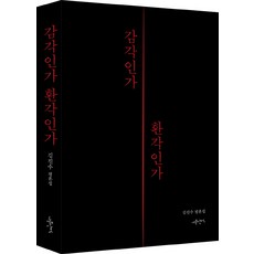 是感覺還是幻覺：金振洙評論集, 斯文亂賊, 金振洙